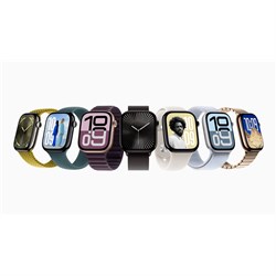 Apple Watch 10 46mm Silver(MWX03)