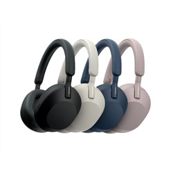 Sony WF-1000X M5 Wireless NC Earphones P.Silver
